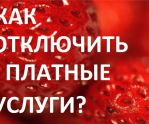 Как отключить ненужные платные услуги на МТС