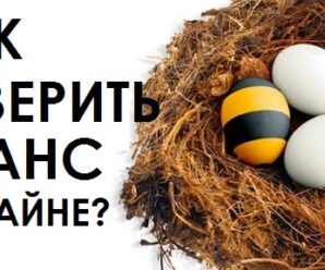 Как проверить свой баланс на Билайне