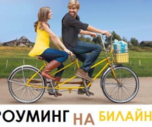 Как отключить роуминг на Билайне