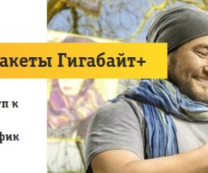 Как отключить «Гигабайт+» на Билайн