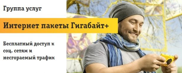 Как отключить Гигабайт + на Билайн