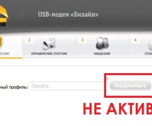 Что делать, если не активна кнопка «Подключить» на модеме Билайн