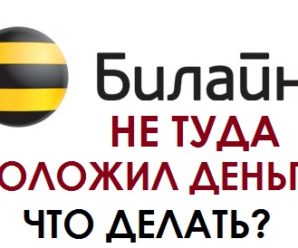 Что делать, если не туда положил или закинул деньги на Билайне