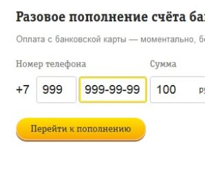 Как сделать разовое пополнение счёта Билайн банковской картой
