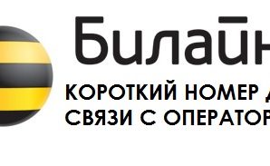 Самый короткий номер для связи с оператором Билайн