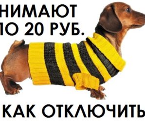 За что ежедневно снимают деньги на Билайне в размере 20 рублей