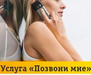 Как отправить запрос «Перезвони мне» на Билайне