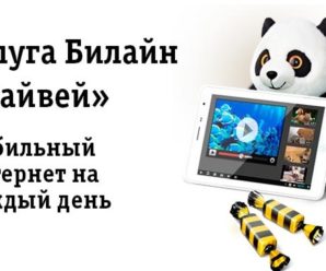 Билайн Хайвей 8Гб: преимущества опции