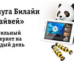 Как отключить Билайн Хайвей 1Гб: 5 простых способов
