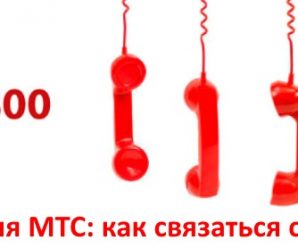 Горячая линия МТС: как связаться