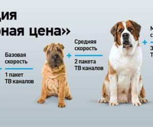 Тариф Ростелеком «Верная цена»: подробное описание