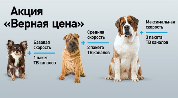 Тариф Ростелеком «Верная цена»: подробное описание